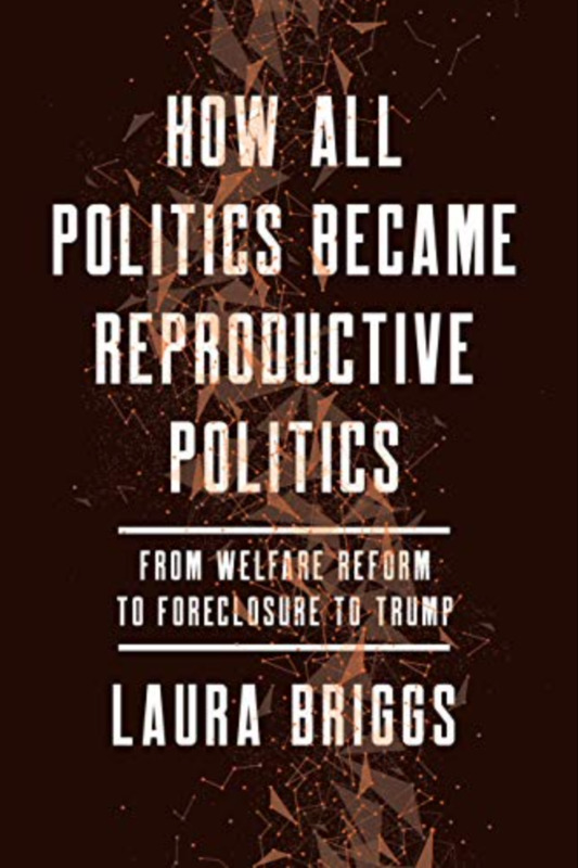 A book cover for 'How All Politics Became Reproductive Politics'