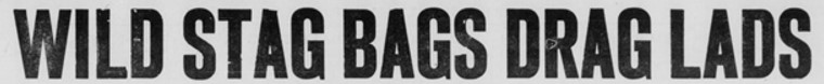 Newspaper headline reading 'Wild stag bags drag lads'